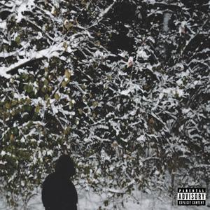 green light (Explicit)