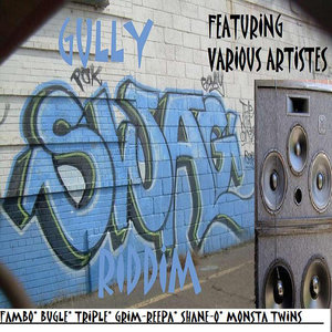 Gully Swag Riddim