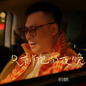 只剩自己的夜晚