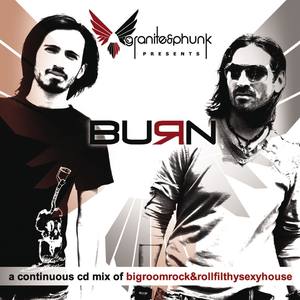 It's the Music (Franky Rizzardo Mix)