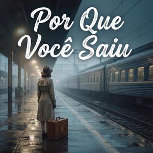 Por-Que-Você-Saiu