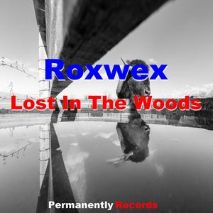 Lost In The Wood (Original Mix)