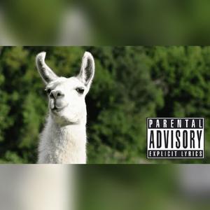 Drama Llama (feat. Oh My Days) [Explicit]