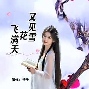 又见雪花飞满天