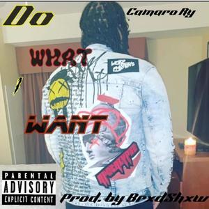 Do What I Want (Explicit)