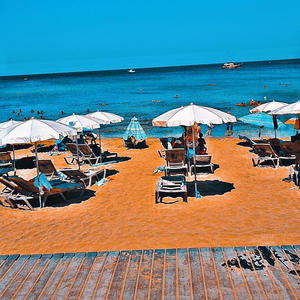 Wanted war (Explicit)