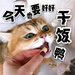 过江寒