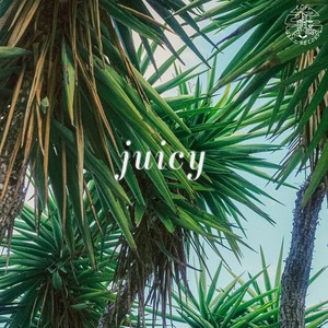 Juicy