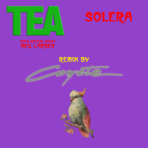 Solera (Coyote Remix)