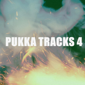 PUKKA TRACKS 4