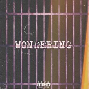 Wondering (Explicit)