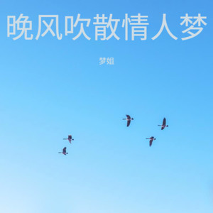 晚风吹散情人梦