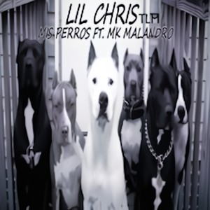 MIS PERROS (feat. Mk Malandro & Lil Chris Tlm) [Explicit]