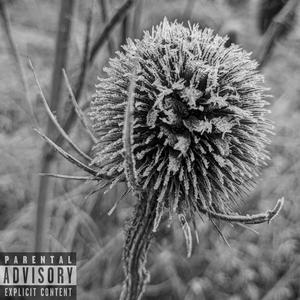 Narcissist (Explicit)