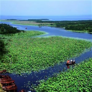 刘须然 - 衡水老家