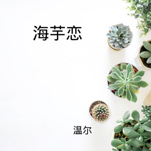 红尘相思泪 (DJ版)