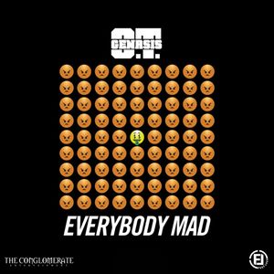 Everybody Mad (Explicit)