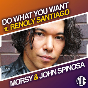 Do What You Want (Radio Edit)