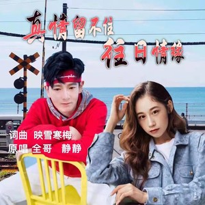 真情留不住往日情缘 (对唱版)