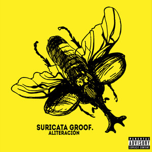 Suricata Groof (Explicit)