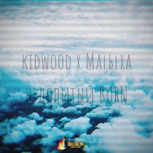 Недопитый Burn