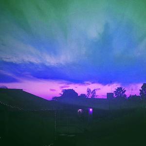 Camellia / Marigold (repcak.chill Remix)