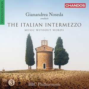 Orchestral Music (Italian) - CILEA, F. / PUCCINI, G. / CATALANI, A. / GIORDANO, U. / PONCHIELLI, A. (The Italian Intermezzo) (Noseda)