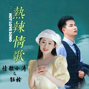 热辣情歌 (DJ默涵版)