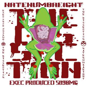 Cavalli Everything (Explicit)