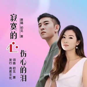 寂寞的心伤心的泪