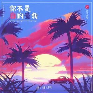 你不是真的爱我