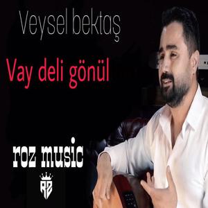 Veysel bektaş _Vay Deli Gönül