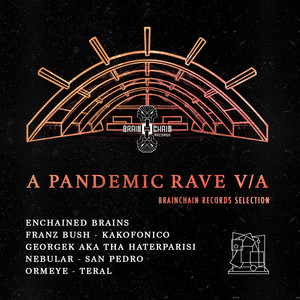 A Pandemic Rave V/A