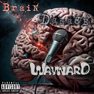 BraiN DamagE (Explicit)