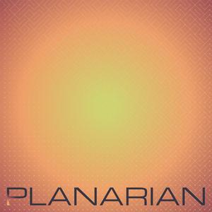 Planarian