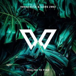 Realise to Find (Extended Mix)