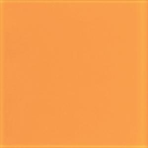 Don't Forget (Explicit)