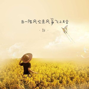 当一阵风吹来风筝飞上天空