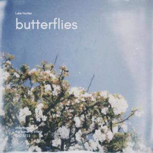 butterflies