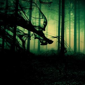 Shadowbreak