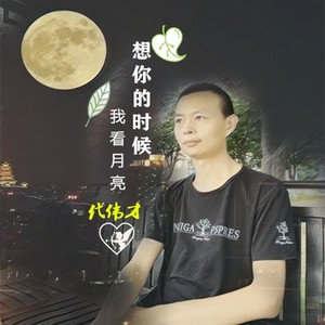 想你的时候我看月亮