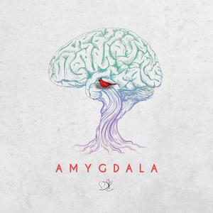 Amygdala