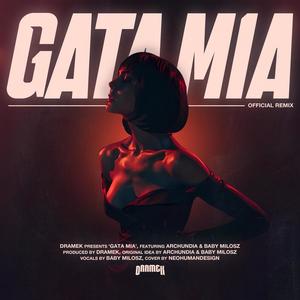 Gata Mia (feat. Archundia & Baby Milosz) (DRAMEK Remix|Explicit)