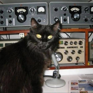 Lowlife Super Freak (Explicit)