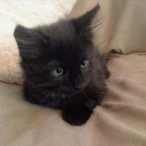 as per usual (Explicit)