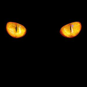 FREE BEAT《come on》ft.ivan