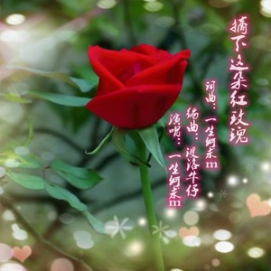 摘下这朵红玫瑰 (波洛牛仔版)