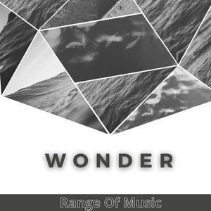 Wonder