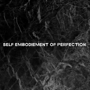 Self Embodiement Of Perfection (Metal Version)