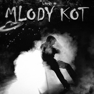 MŁODY KOT
